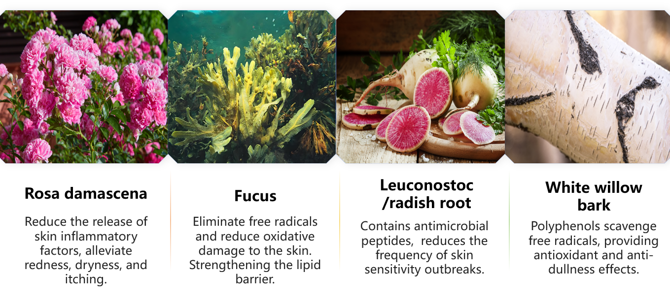 balancerende tonernevel