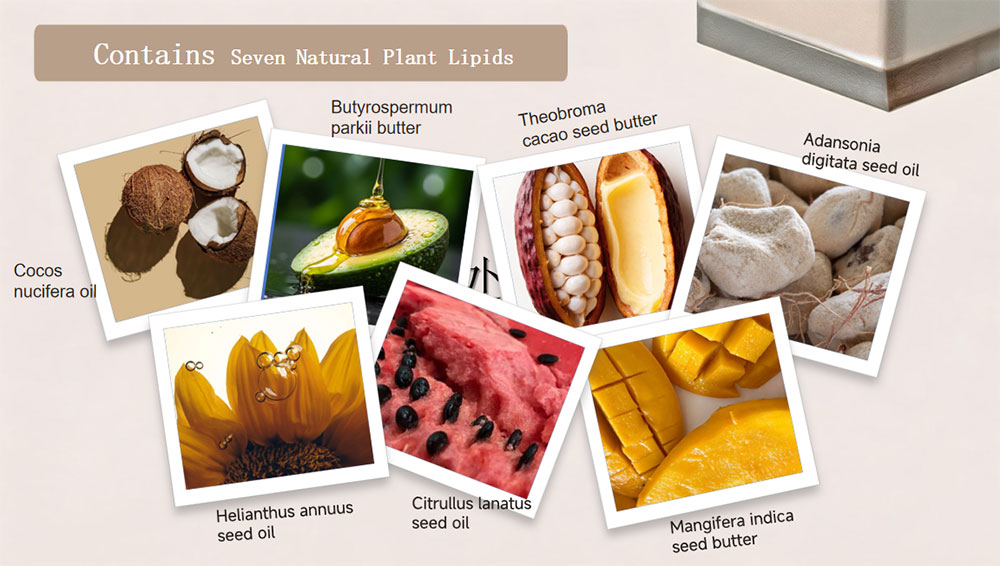 body milk key ingredients