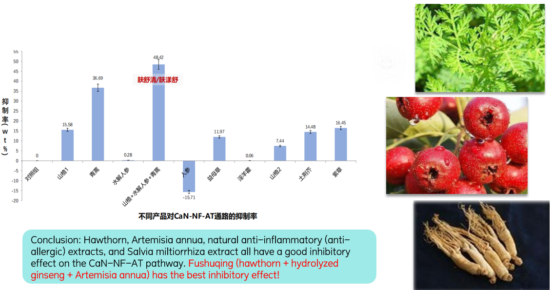 Ik denk dat... image.png