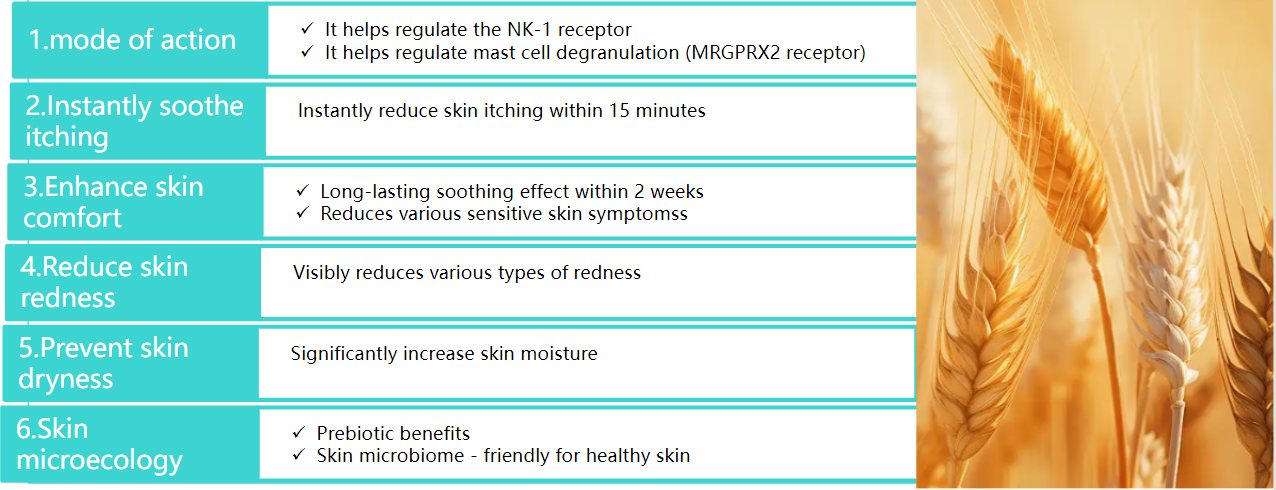 Ik denk dat... image.png