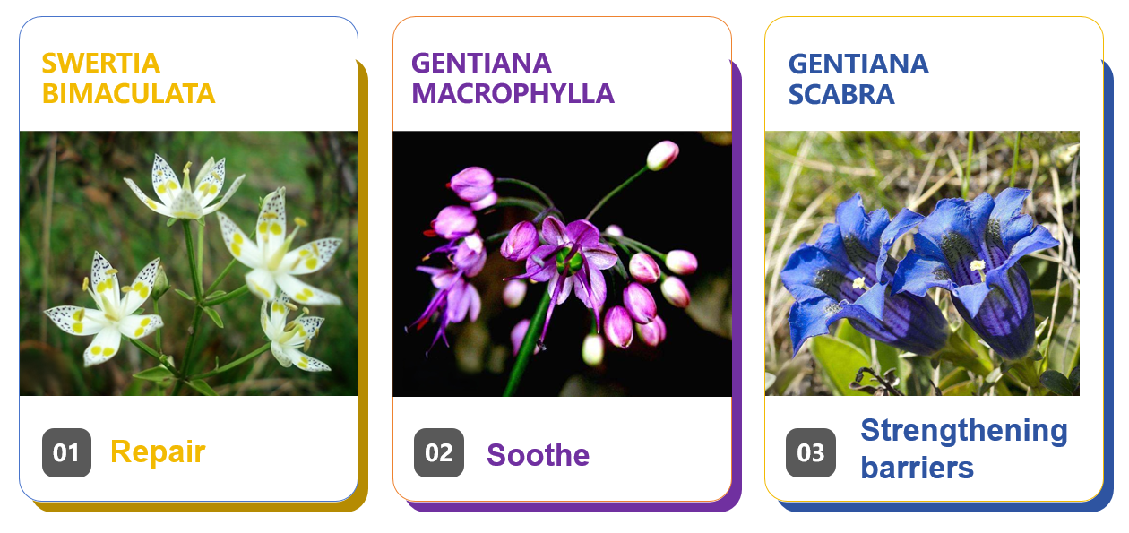 Ik denk dat... image.png